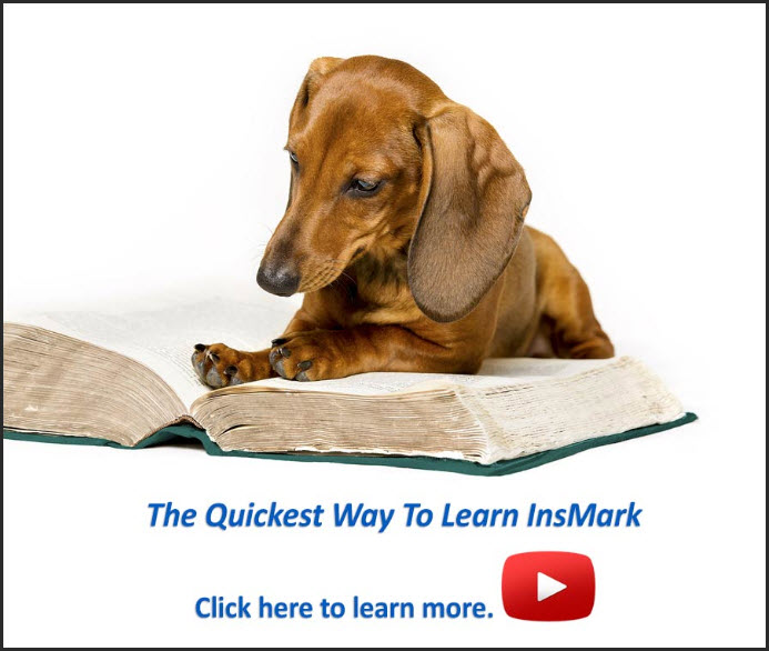 The Quickest Way To Learn InsMark