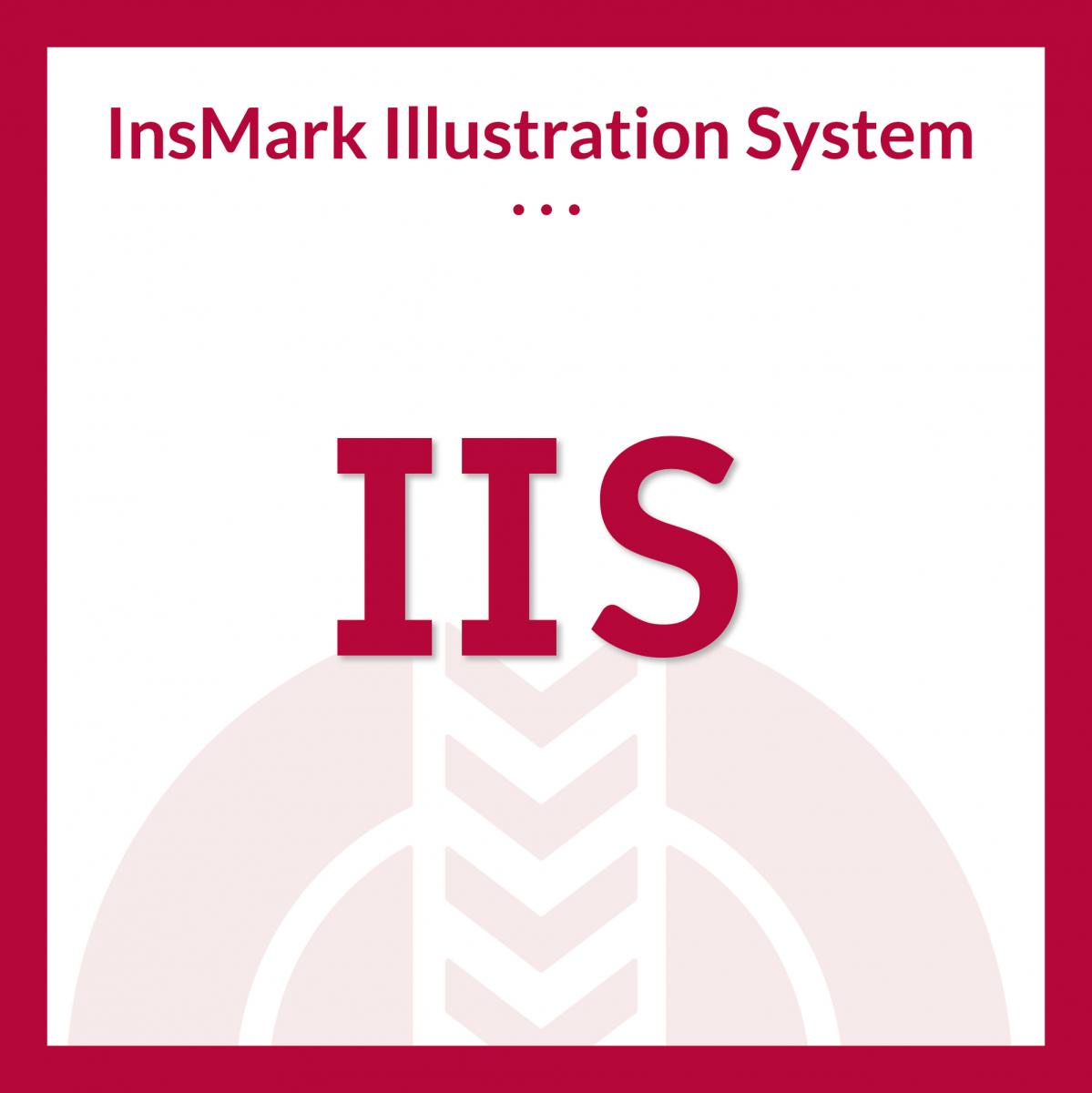 InsMark Illustration System Logo