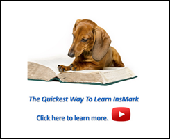 Quickest Way to Learn InsMark 1